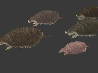 Peltephilus armadillo Low-poly 3D model