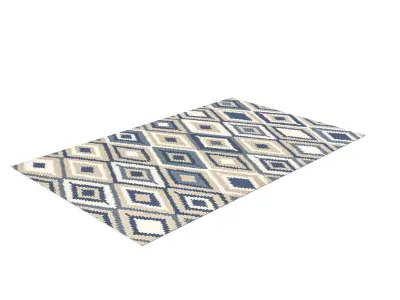 Pilatus Navy 5ftx8ft Indoor Outdoor Area Rug Free 3D model