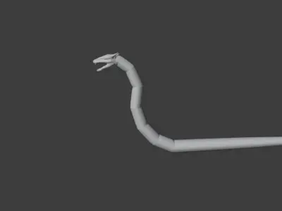 Manda dragon head 3D model