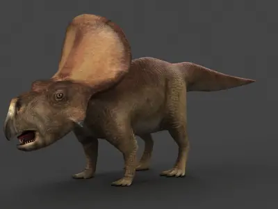 protoceratops ceratopsian dino dinosaur  3D model