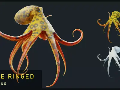 Animated Blue-Ringed Octopus Low-poly 3D model