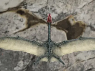 Quetzalcoatlus - Cretaceous Pterosaur Flying Reptile Low-poly 3D model