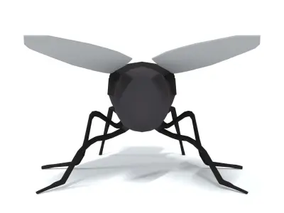 Low Poly Cartoon Fly  Low-poly 3D model