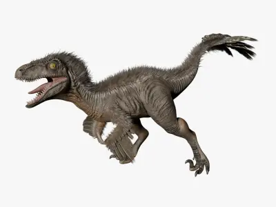 Deinonychus rigged(1) 3D model
