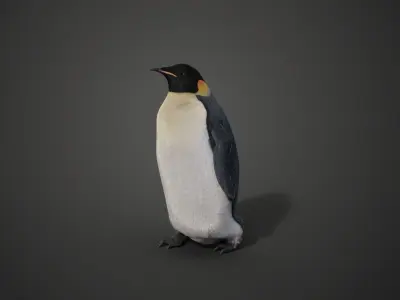 Emperor Penguin Rigged  VFX Grace 3D model