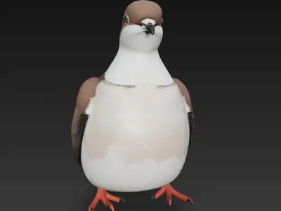 Dove Realistic 3D Model Basic - Low Poly Realistic  Low-poly 3D model