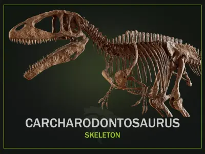 Carcharodontosaurus Skeleton 3D model