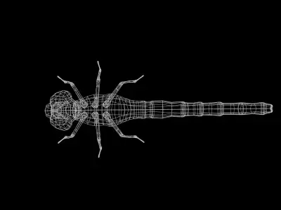 Dragonfly Anisoptera Low poly PBR Low-poly 3D model