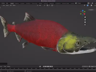 Sockeye Salmon Low-poly 3D model