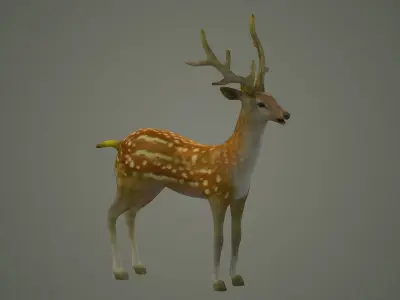 deer stag animal doe game lowpoly forest animation  3D model