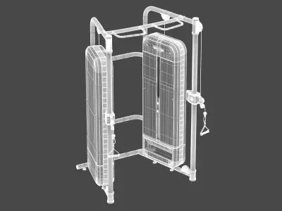 Technogym Dual Adjustable Pulley Performance 3D model