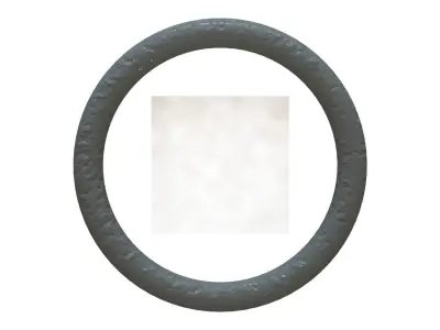 O Ring Vedabras 12292 3D model