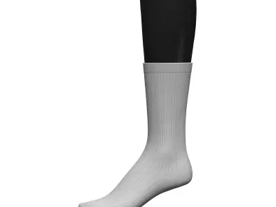 Long Socks 3D model