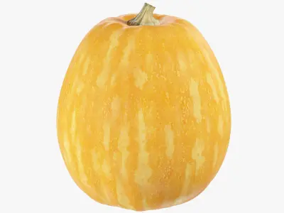Pumpkin V4 3D model