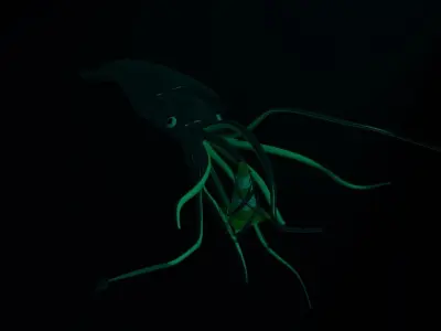 Giant deep sea squid Free 3D model
