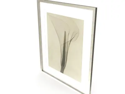 Dain Tasker Photography XRay Of Lily Free 3D model