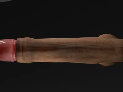 male genitalia - Penis low poly Low-poly 3D model