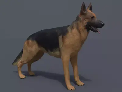 German Shepherd Low-poly 3D model