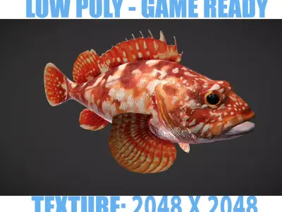 Grouper01 snapper Low-poly 3D model