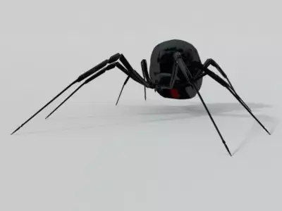 Black Widow Low-poly 3D model