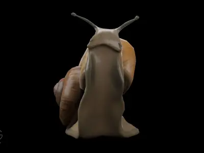 Snail Low-poly 3D model