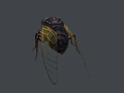 low poly animated cicada Low-poly 3D model
