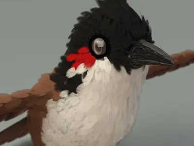 Bird bird sparrows binding model 3D model