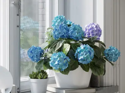  Mophead Hydrangea Plant Model, Blue 