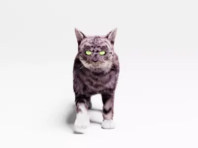 Domestic Cat  3D model