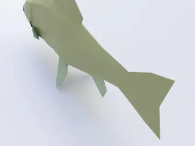 Rainbow trout fish low poly 3d model  Low-poly 3D model