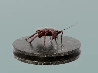 House Decoration Cockroach Statue Low-poly 3D model
