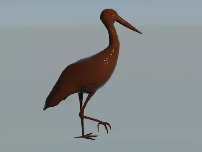 stork bird with long legs Free 3D model