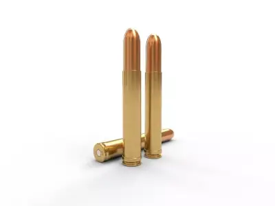 458 Lott Ammo Low-poly 3D model