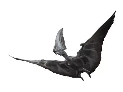 Dinos Flying 3D model