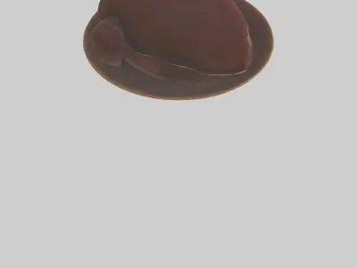 Kangaroo Liver Low-poly 3D model