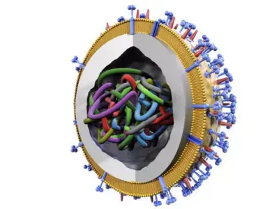 Influenza virus 3D model