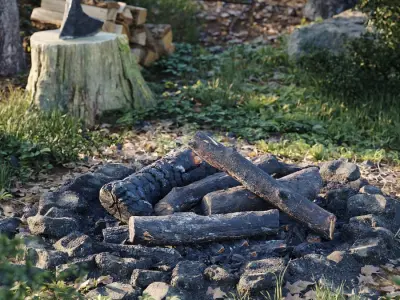  Fully Burned Natural Firewood Models Collection 