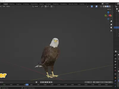 Realistic Animated Bald Eagle Low-poly 3D model