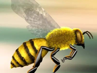 A lovely Bee 3D model