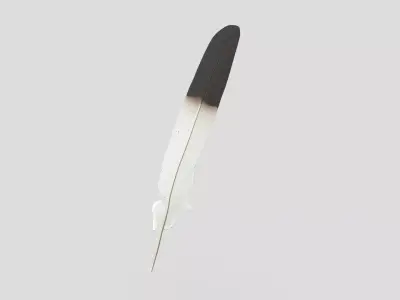 Feather 2 Low-poly 3D model