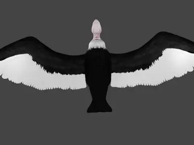 Vulture low poly fully rigged 3 Low-poly 3D model