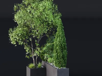 HQ Tree and bush garden box outdoor VOL 03 Free 3D model