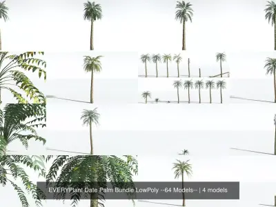 EVERYPlant Date Palm Bundle LowPoly --64 Models-- 3D Model Collection