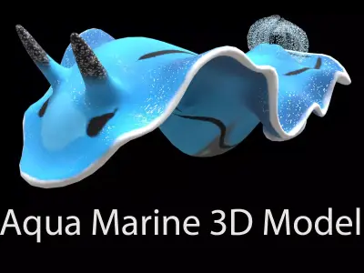 Aqua marine Sea Creature 3D model