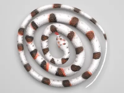 Rubber Snake 3D model