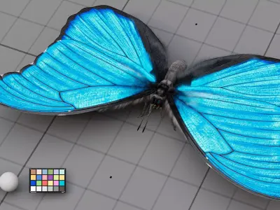 The Blue Morpho butterfly  3D model