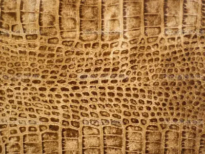 Rigged Crocodile with a simple texture 3D model