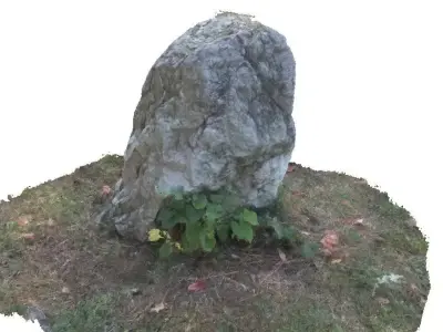 Part rock 3D scan Low-poly 3D model