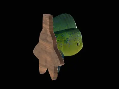 MAHI MAHI DETAILED TEXTURE TROPHY TAXIDERMY FOR 3D PRINTING 3D print model