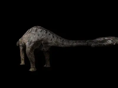 Ankylosaurs dinosaur Low-poly 3D model